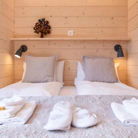 Iris Apartment Wengen