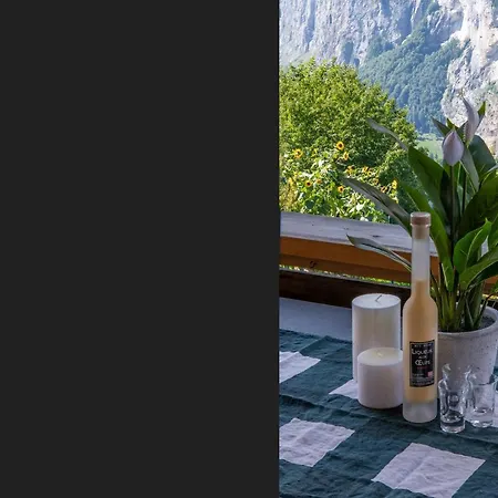 Apartment Iris Wengen